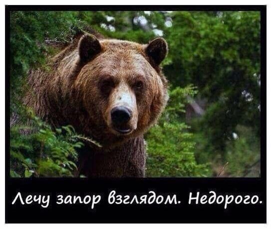 Аечу запор бзгАядом Недорого