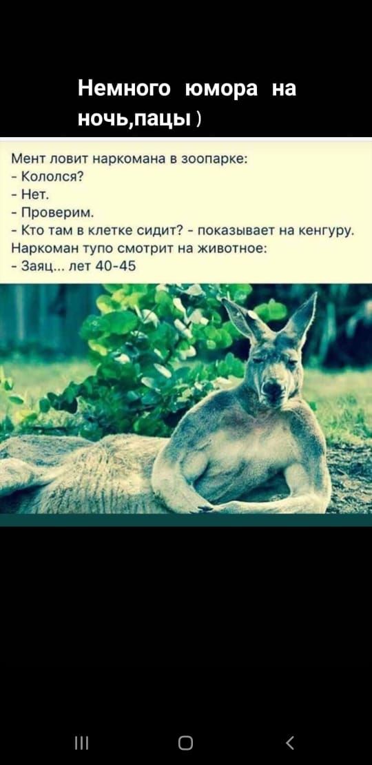 Немного юмора на ночьпацы Мент ловит наркомана в зоопарке _ Копался Нет Проверим Кто там в клетке сидит показывает на кентру Наркоман тупо смотрит на животное Заяц пет 40 415 С