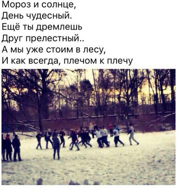 Мороз и солнце День чудесный Ещё ты дремлешь Друг прелестный А мы уже стоим в лесу И как всегда плечом к плечу