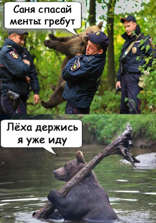 Саня спасай Лёха держись я уже иду