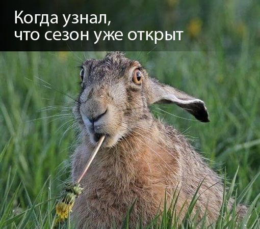 Ко гда узнал что сезон уже открыт