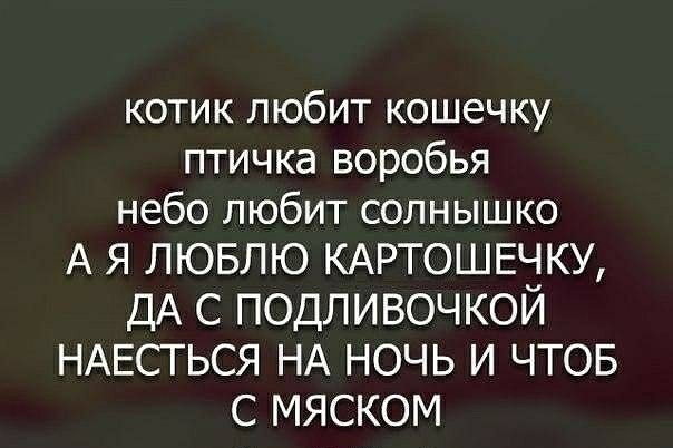 котик любит кошечку птичка воробья небо любит солнышко А Я ЛЮБЛЮ КАРТОШЕЧКУ ДА С ПОДЛИВОЧКОЙ НАЕСТЬСЯ НА НОЧЬ И ЧТОБ С МЯСКОМ