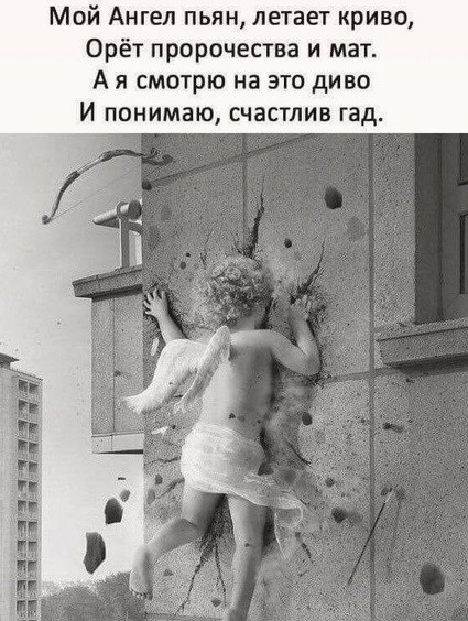 Мой Ангел пьян летает криво Орёт пророчества и мат А я смотрю на это диво И понимаю счастлив гад