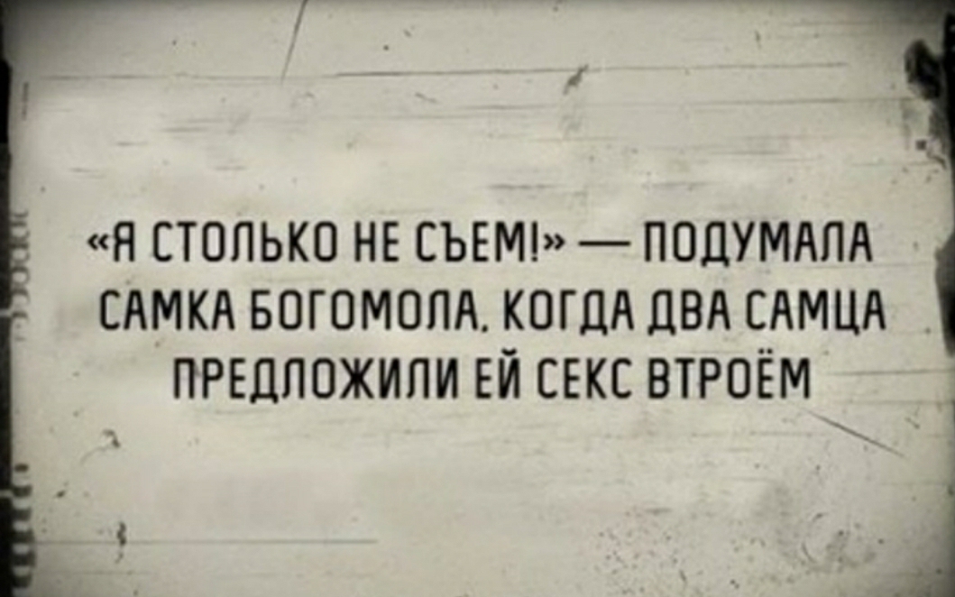 Я СТОЛЬКО НЕ СЪЕМ ПОЦУМАПА САМКА БОГОМОПА КОГДА ДВА САМЦА ПРЕДПОЖИПИ ЕЙ СЕКС ВТРОЁМ