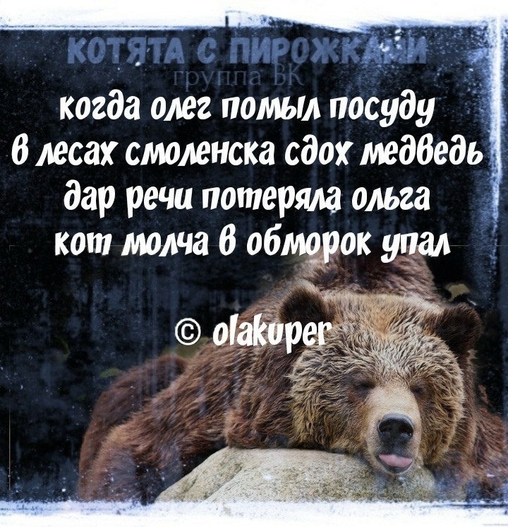 таЁ г когда олег помыл посуду В лесах смоленске сдох медбедь дар речи потеряла ольга кот молча 6 обмёоок упал
