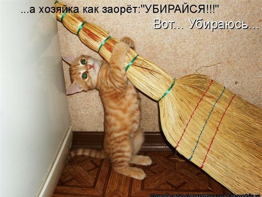 а хозя а как заорёт УБИРАЙСЯ Выог Убираюс ь