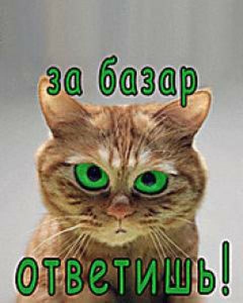 за базар