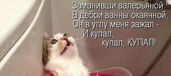 заманивши ваперьяной Ё дебри ванны окаянной Он в углу меня зажал И купап купап КУПАП