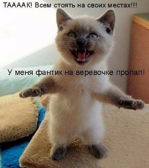 ТАААА К Всем стоять на сво У меня фа