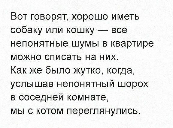 Вот говорят хорошо иметь собаку или кошку все непонятные шумы в квартире можно списать на них Как же было жутко когда услышав непонятный шорох в соседней комнате мы с котом переглянулись