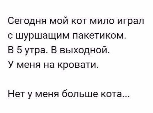Сегодня мой кот мило играл с шуршащим пакетиком В 5 утра В выходной У меня на кровати Нет у меня больше кота