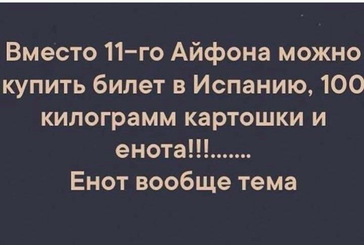Вместо 11 го Айфона можно купить билет в Испанию 100 килограмм картошки и енота Енот вообще тема