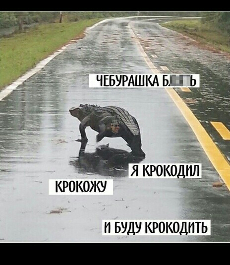 п вуду крокодиТь
