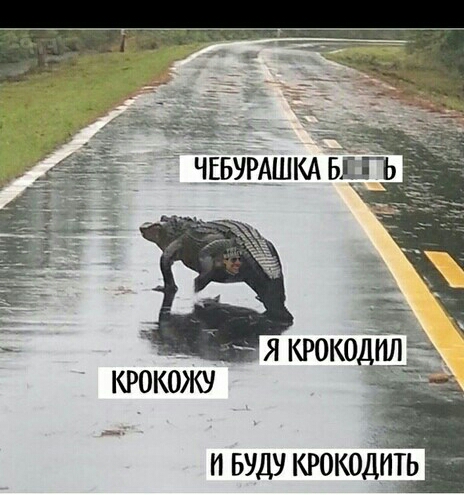 п вуду крокодшь