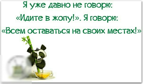 Я уже давно не говорю Идите в жопу Я говорю Всем оставаться на своих местах