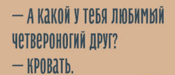 _ А какой У ТЕБЯ ЛЮБИМЫЙ ЧВТВВРВНПГИЙ ПРИ НРШШЬ