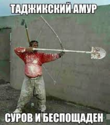 щ 08 иыеппшддін