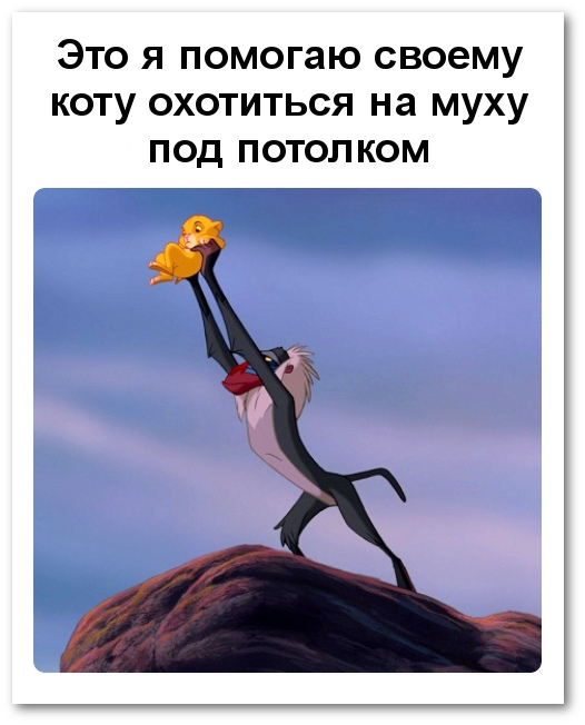ЭТО Я помогаю своему КОТУ ОХОТИТЬСЯ на МУХУ ПОД ПОТОЛКОМ