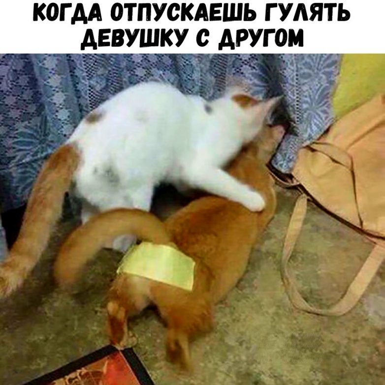 КОГ АА ОТПУСКАЕШЬ Г УАЯТЬ ДЕВУШКУ С АРУГОМ _ ё