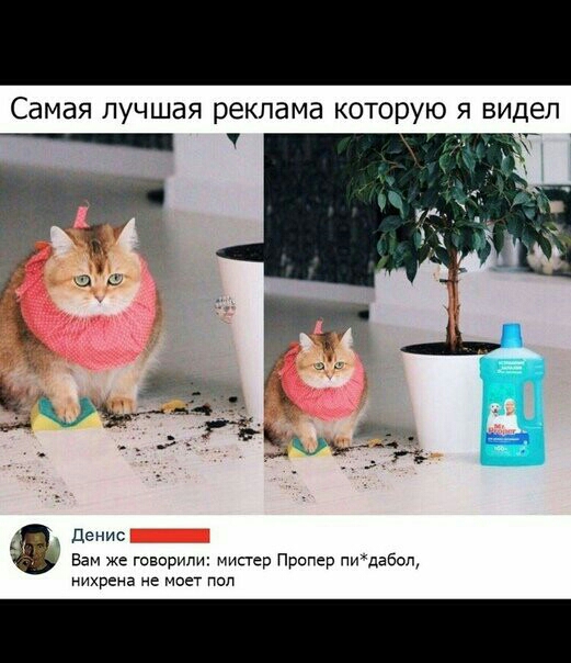 Самая лучшая реклама которую я видел __ __ денис Вам же говорили Мистер Пропер пидабол нихрена не моет пап