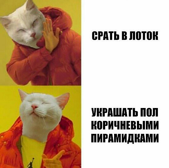БРАТЬ В питон РАША ШШ ШПИШЕВЫМИ ПИРАМИДММИ