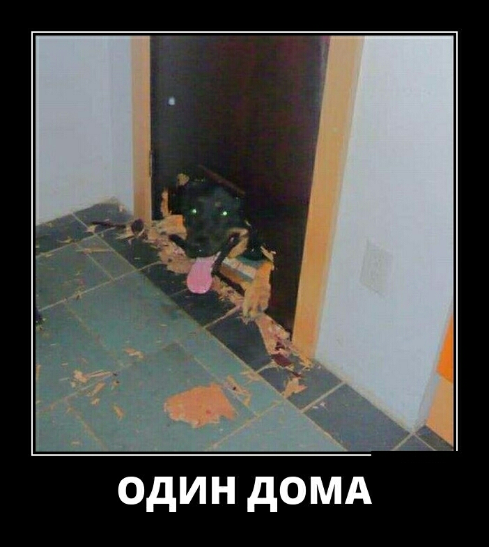 одиндоМА