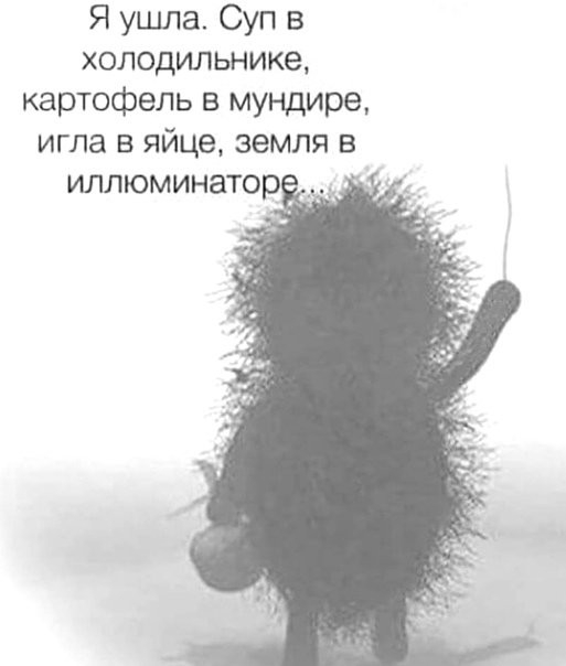 Я ушла Суп в холодильнике картофель в мундире игла в яйце земля в иллюминато