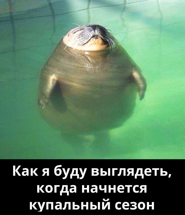 Как я буду выглядеть когда начнется купальный сезон