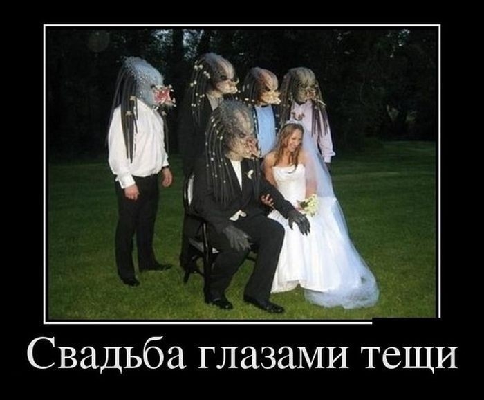 г Свадьба глазами тещи