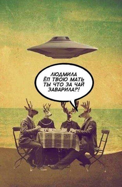 ЛЮДМИЛА Еп твою мтз ТЫ ЧТО ЗА ЧАИ элвлримг