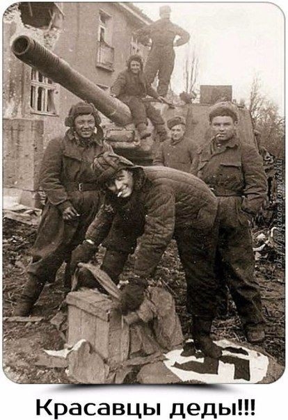 д е д ь Ц в а с а В К