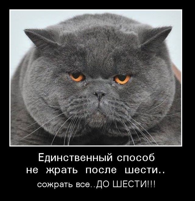 Единственный способ не жрать после шести сожрать все ДО ШЕСТИ
