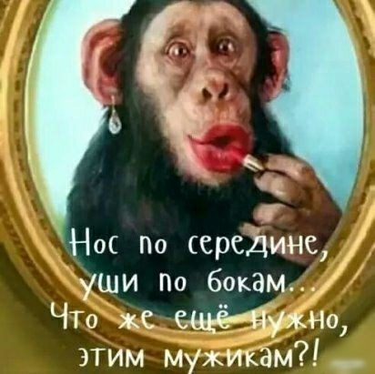 Нос По срединс уши По бокам ЧТо же ещё91 этим мужикЁМ