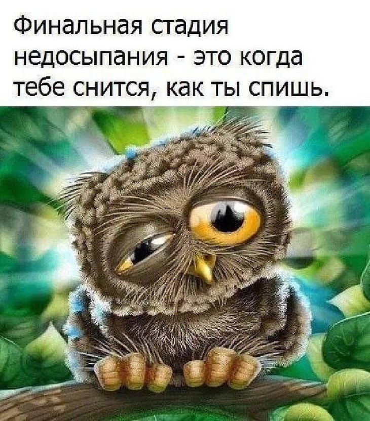Финальная сгадия недосыпания это когда тебе СНИТСЯ КдК ТЫ СПИШЬ _ іі __
