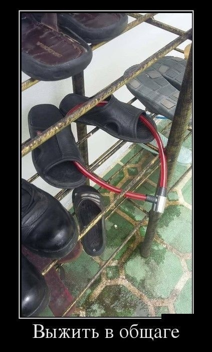 ВЫЖИТЬ в общаге