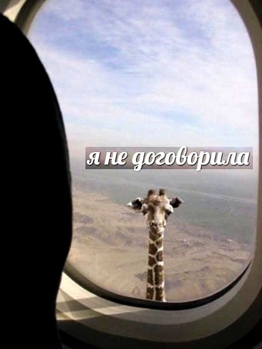 41 удилищли