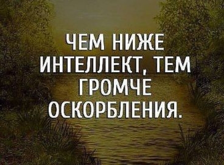 ЧЕМ НИЖЕ ИНТЕЛЛЕКТ ТЕМ ГРОМЧЕ ОСКОРБЛЕНИЯ