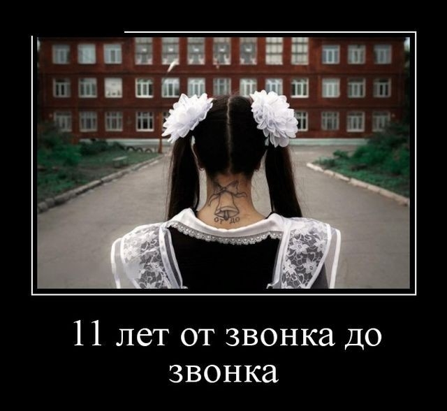 11 лет от звонка до звонка