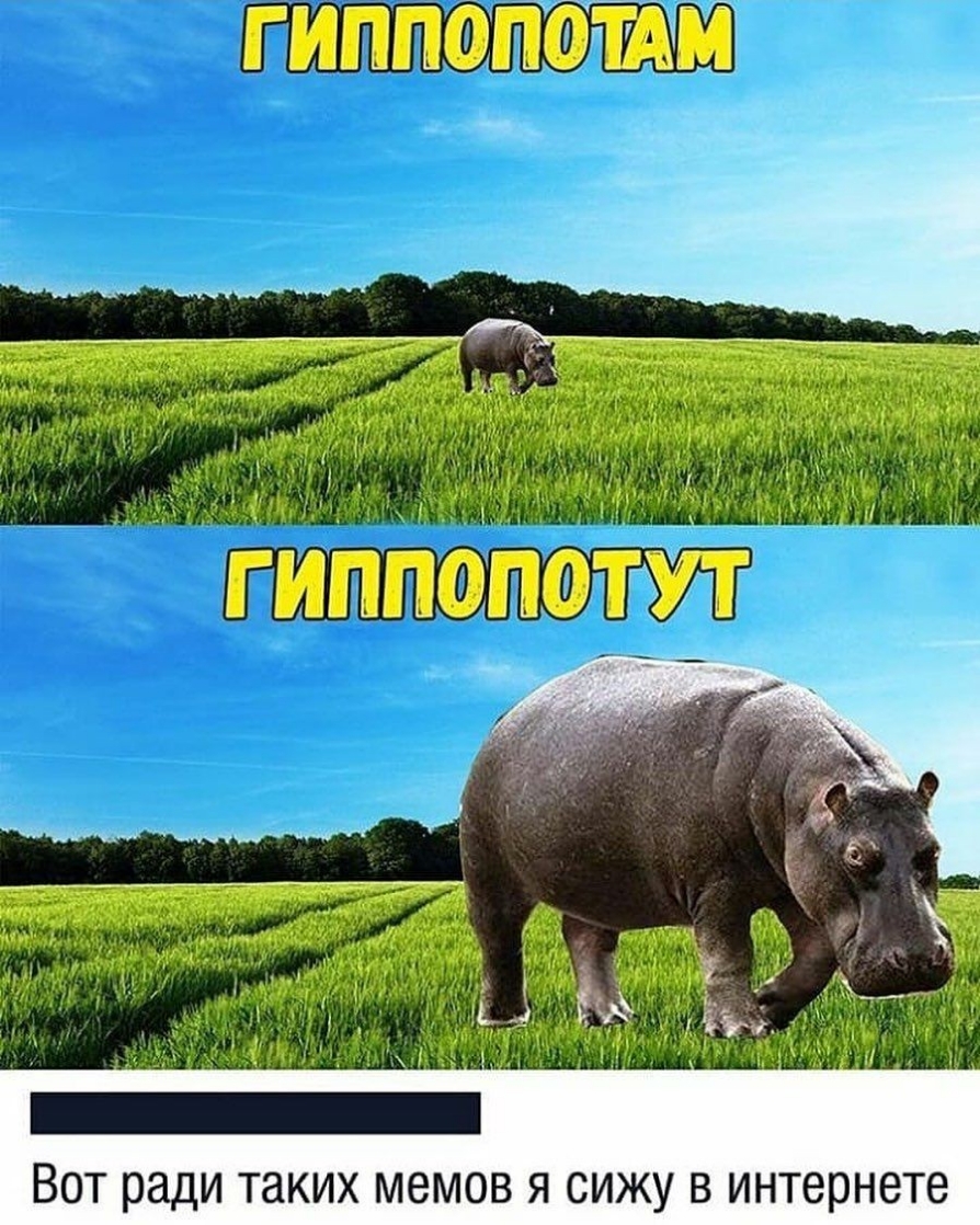 ИППФПФЩМ Щ Дий Г ИППФПФТУТ Ё _М МЙ ВОТ ради таких МЗМОВ Я СИЖУ В интернете