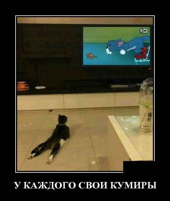 У КАЖДОГО СВОИ КУМИРЬ1