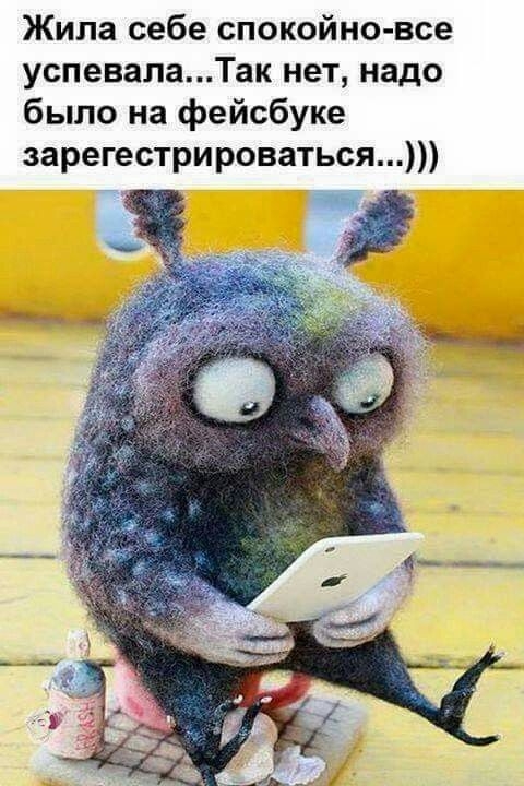 Жила себе спокойно все успевалаТак нет надо было на фейсбуке зарегестрироваться