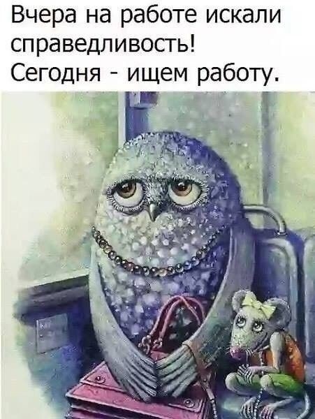 Вчера на работе искали справедливость Сегодня ищем работу В