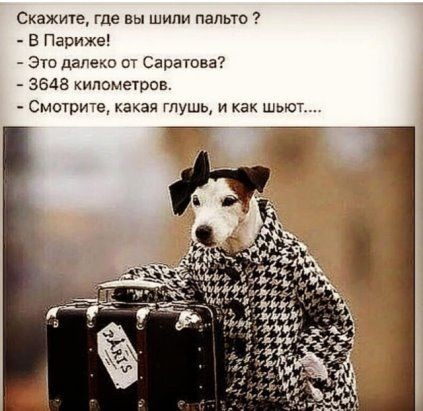 Скажите где вы шили пальто в Париже Эта дапеш Саратова 3648 ипомеуров Смотрит какая глушь и как шьют