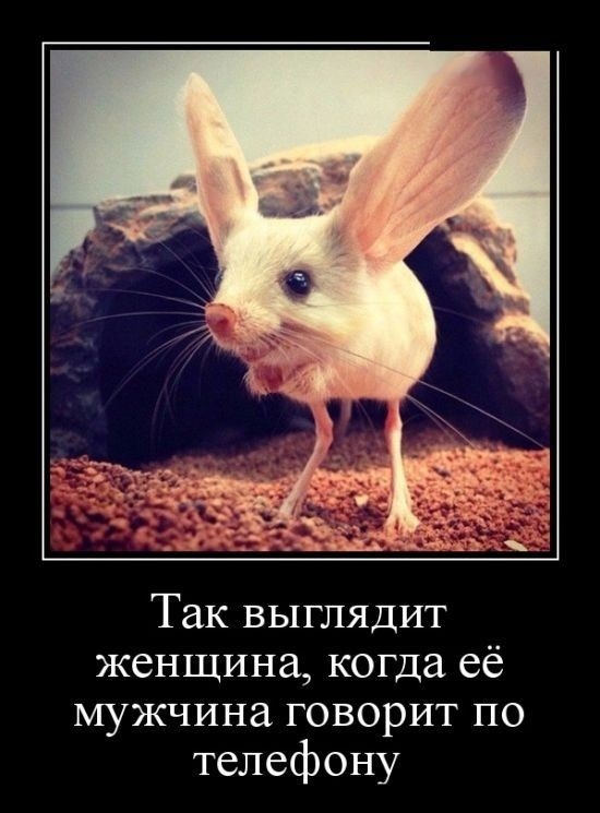 Так выглядит женщина когда её мужчина говорит по телефону