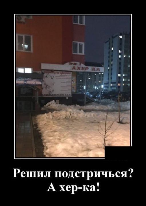 Решил подстричься А хер ка