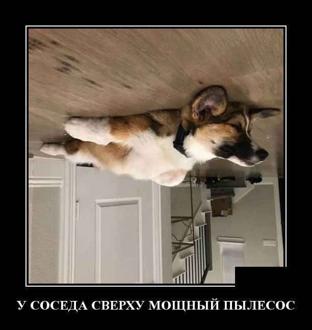 У СОСЕДА СВЕРХУ МОЩНЫЙ ПЬ1ЛЕС0С