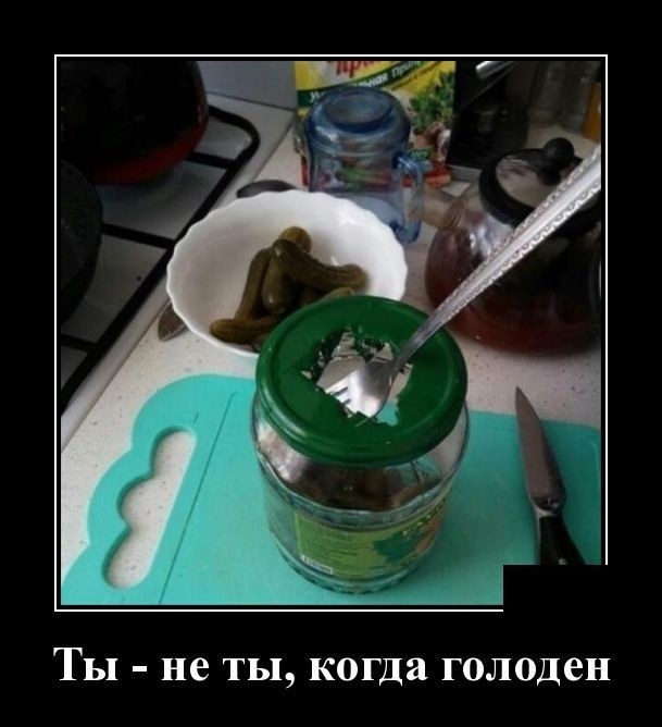 Ты не ты когда голоден