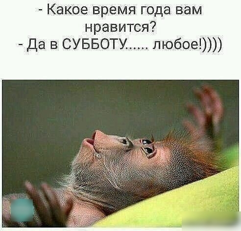 Какое время года вам нравится Да В СУББОТУ любое