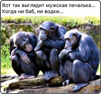 Вот так выглядит мужская печапька Когда ни баб ни водки