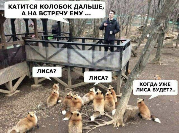 КАТИТСЯ КОЛОБОК дАЛЬШЕ А НА ВСТРЕЧУ ЕМУ КОГДА УЖЕ писд БУДЕТЕ